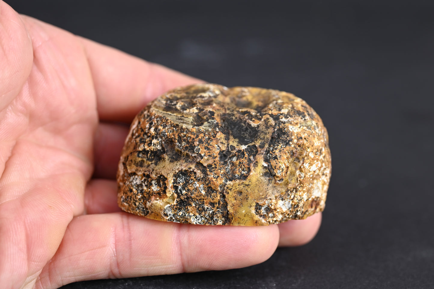 Island Agate