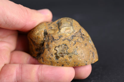 Island Agate