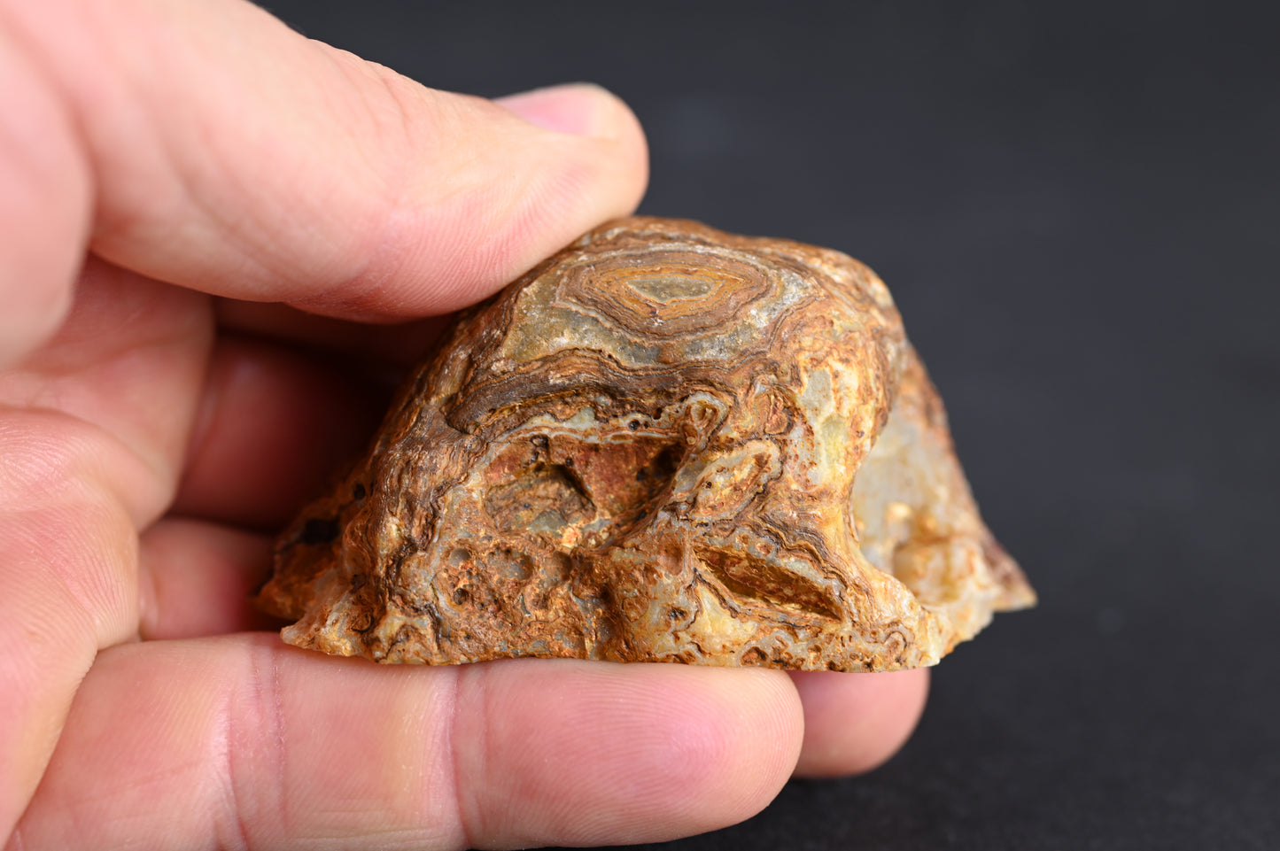 Island Agate