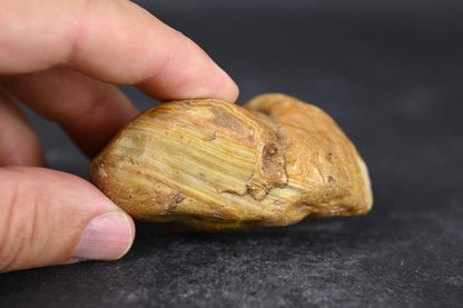 Island-Agate