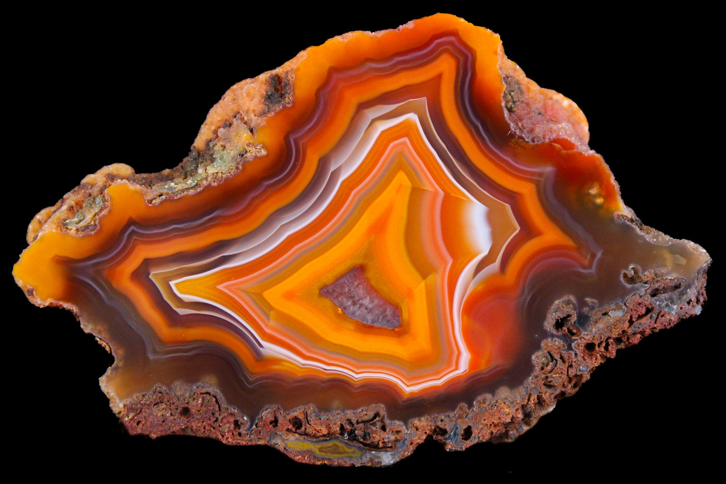 Rohachate Alimajo XL