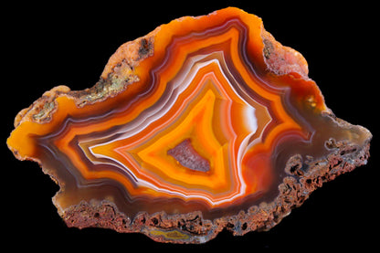 Rohachate Alimajo XL