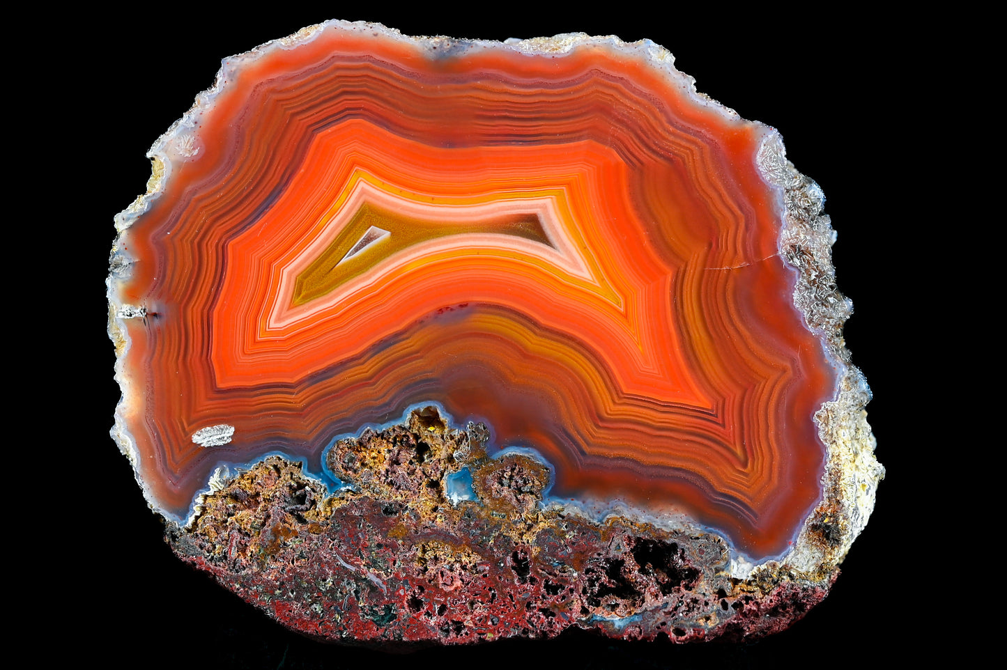 10kg Rohachate Alimajo XL