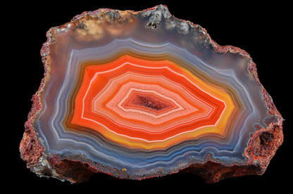 10kg Rohachate Alimajo XL