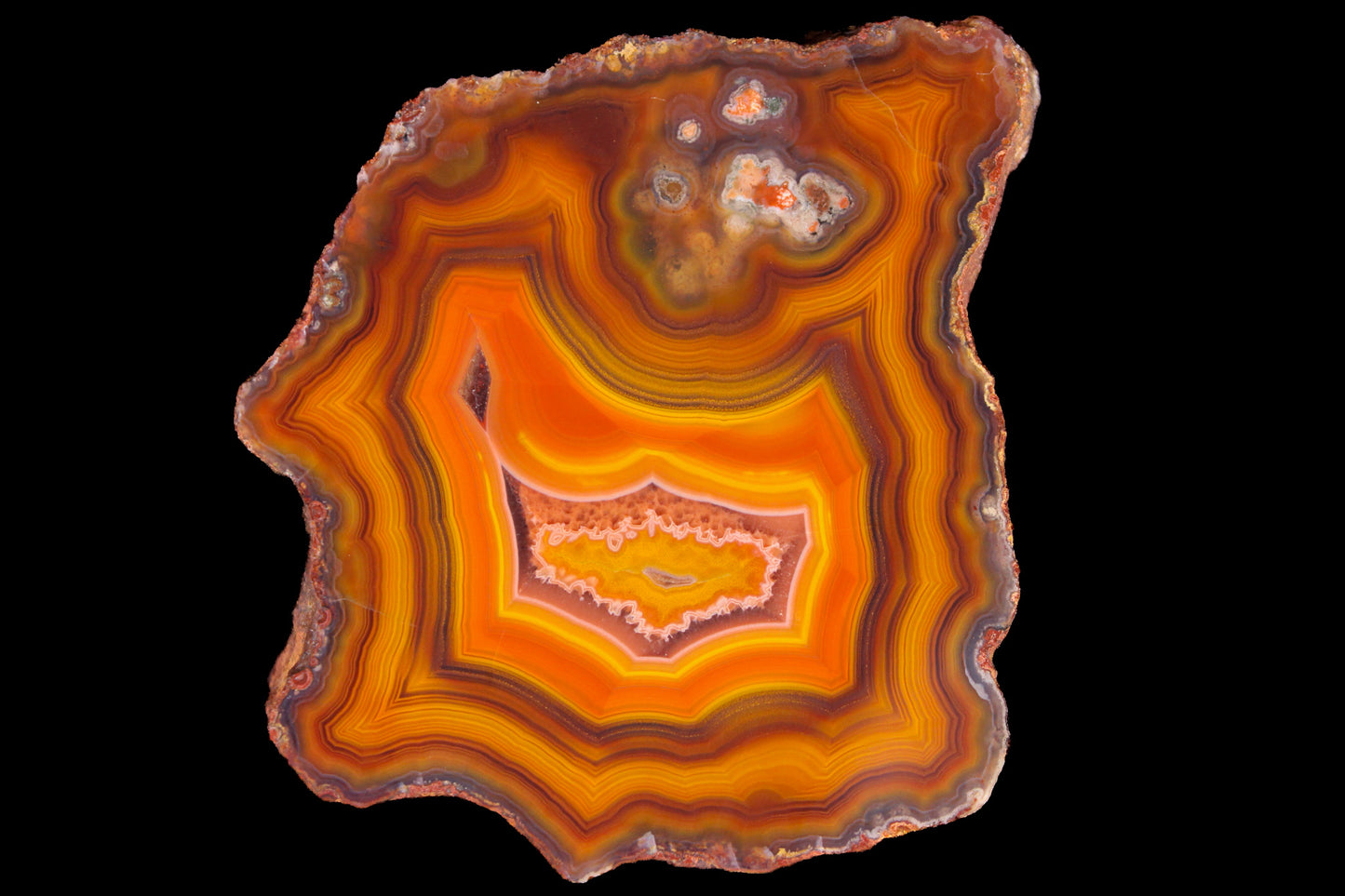 Rohachate Alimajo XL