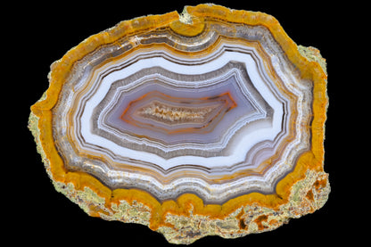 Türkei Limbcast Lapidary