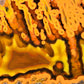 Marokko